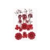 Charm Red Collection 2 Charm Red Collection -Negozio Di Giocattoli Alla Moda charm red collection
