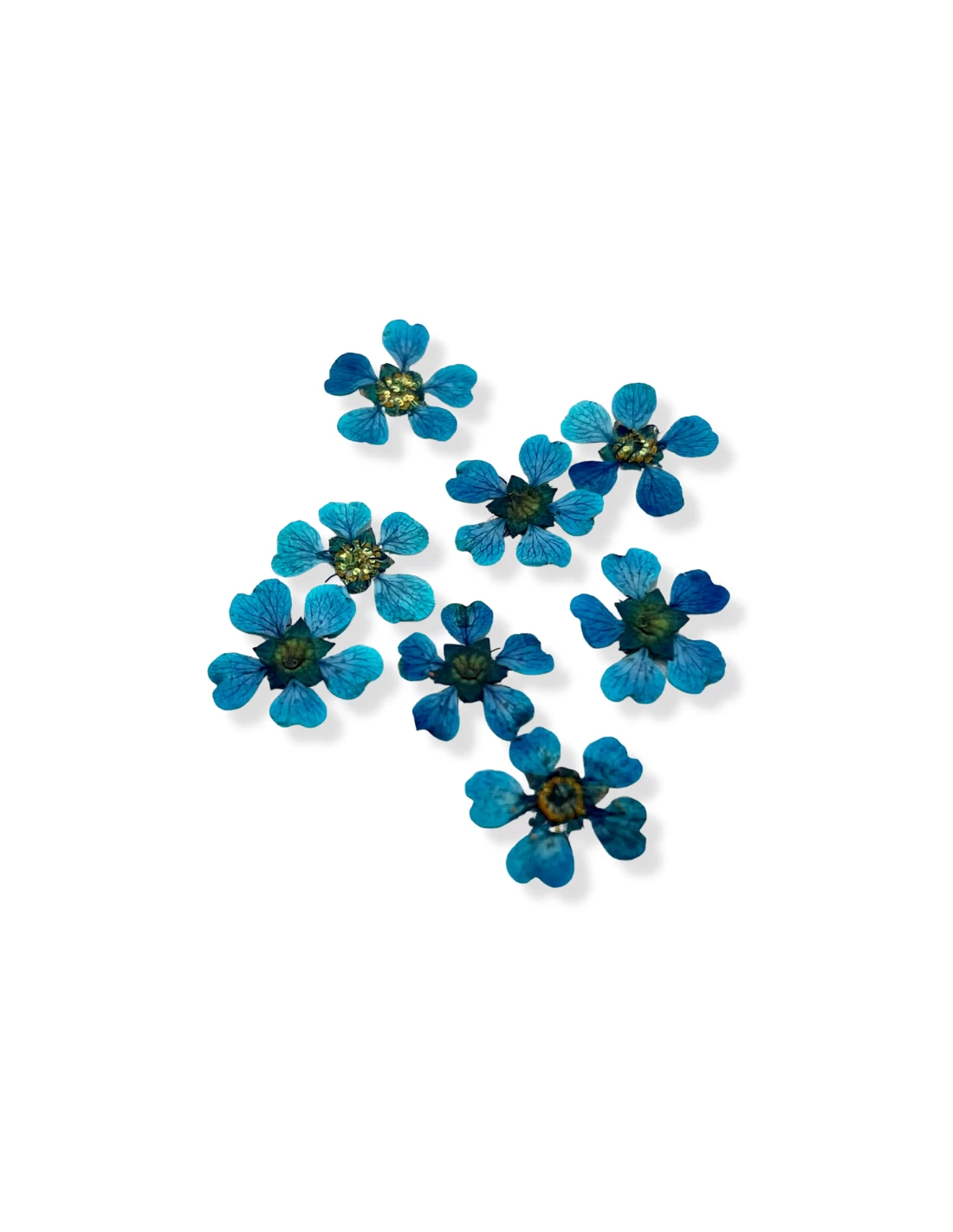 Fiori Di Bach Cherry Plum Turchesi 2 Fiori Di Bach Cherry Plum Turchesi