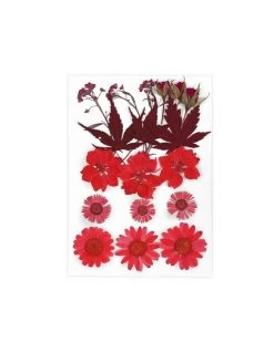 Flower Clusters Vol.2