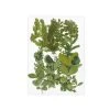 Green Leaves Collection -Negozio Di Giocattoli Alla Moda green leaves collection