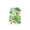 Green Wildflowers Collection -Negozio Di Giocattoli Alla Moda green wildflowers collection