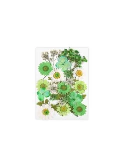 Green Wildflowers Collection