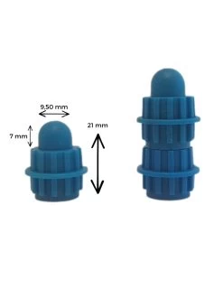 Incontri Per Stampi Bivalva In Gesso