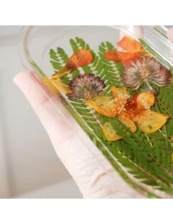 Lux Oval Plate -Negozio Di Giocattoli Alla Moda lux oval plate 2