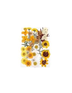 Orange Wildflowers Collection