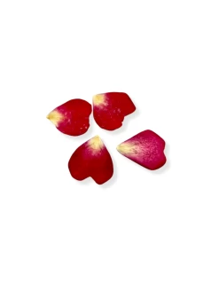 Petali Di Rosa Rossi