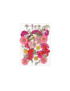 Pink Wildflowers Collection