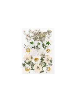 White Wildflowers Collection