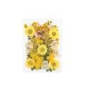 Yellow Wildflowers Collection 1 Yellow Wildflowers Collection -Negozio Di Giocattoli Alla Moda yellow wildflowers collection