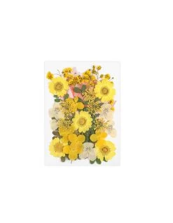 Yellow Wildflowers Collection